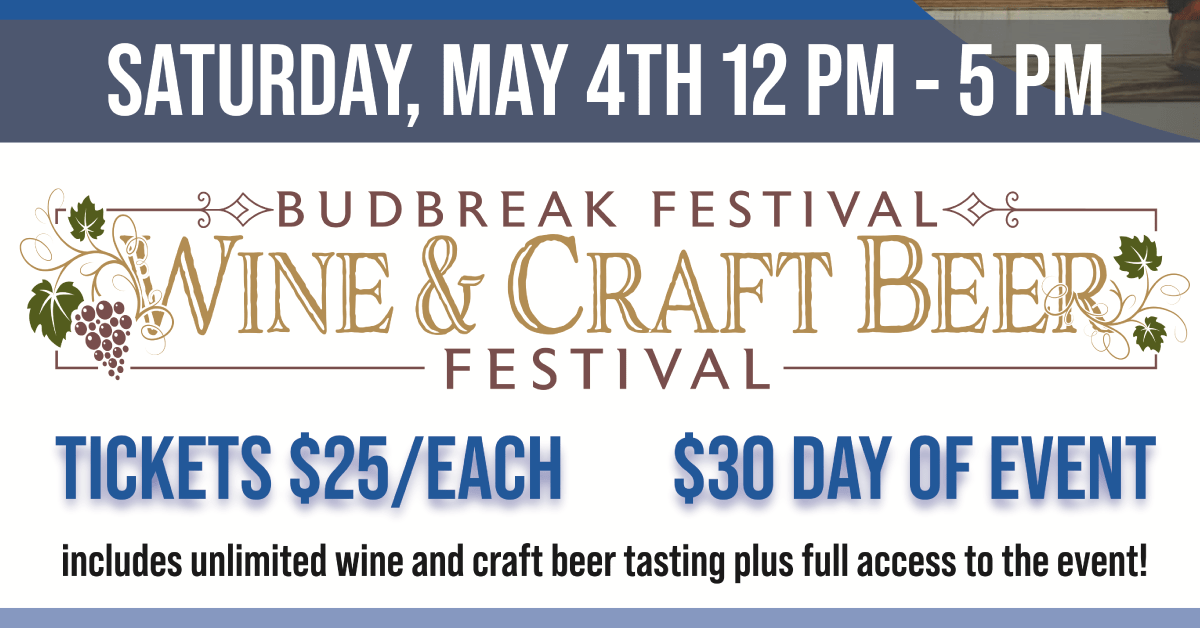 Wine and Craft Beer - Wine & Craft Beer Budbreak Festival in Mount Airy, NC